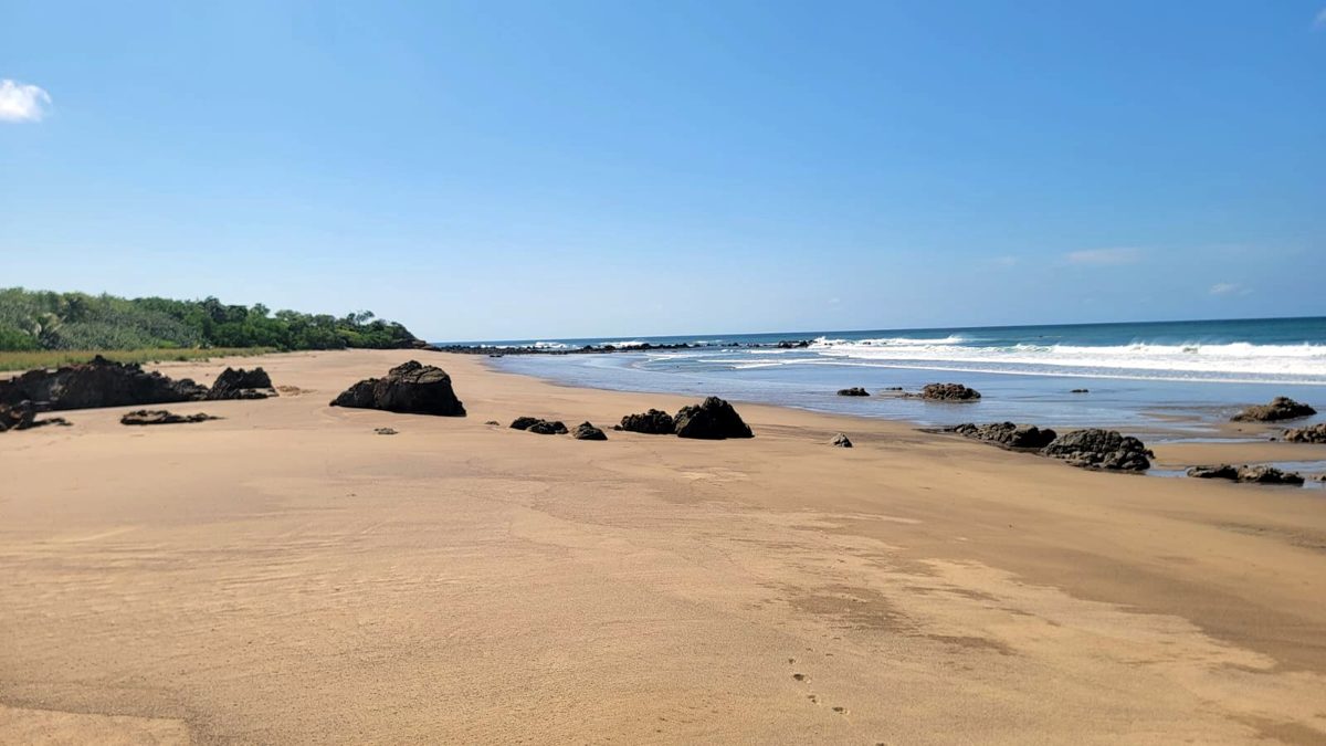 Surf y playas